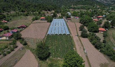 Muğla Büyükşehir Belediyesi destekleriyle Migros’ta çilek satışına başlayan üreticiler Köyceğiz’in yaylalarında yetişen ürünleri vatandaşla buluşturmanın mutluluğunu yaşıyor.