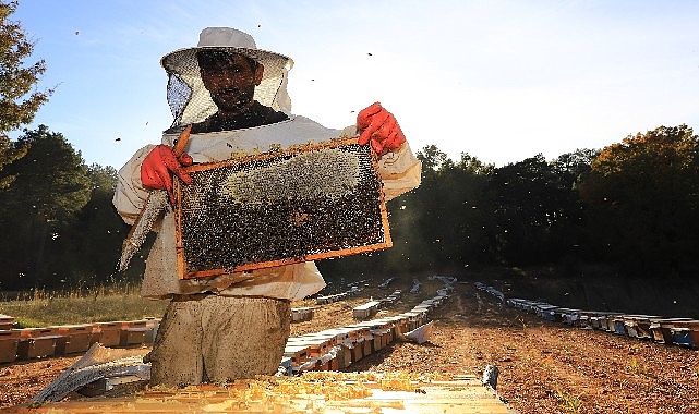 Türkiye’de ilk ve Tek “Temiz Petek Projesi” Başladı