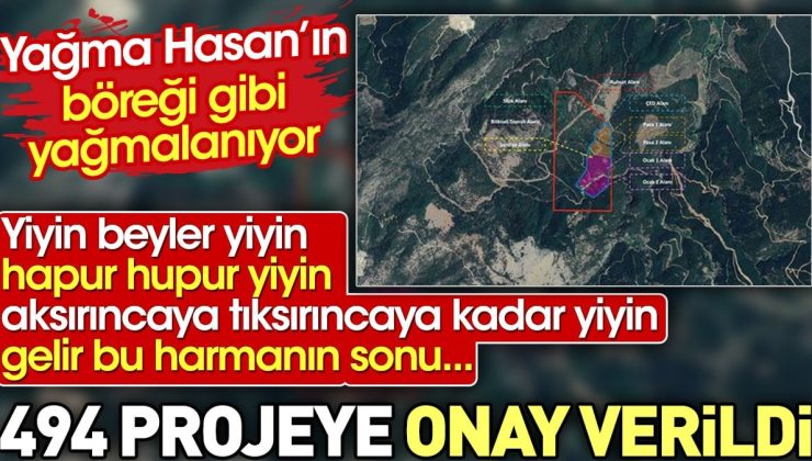 494 projeye onay verildi. Yağma Hasan’ın böreği gibi yağmalanıyor