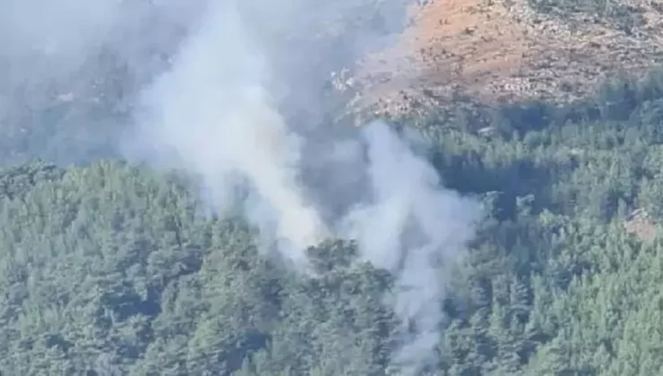 Muğla’da orman yangını