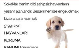 Hayvanları Koruma Kanunu