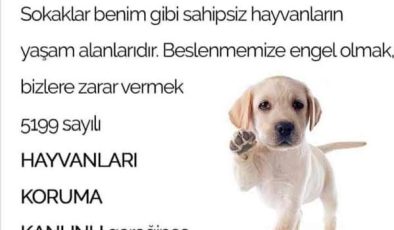 Hayvanları Koruma Kanunu