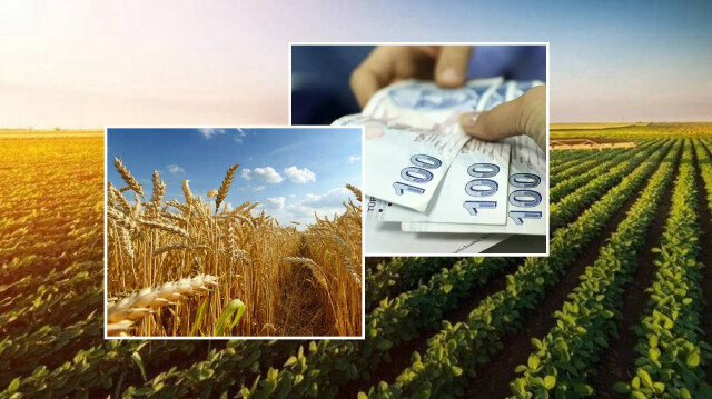 Bakan Yumaklı: TARSİM kapsamında 9 milyar 200 milyon lira devlet desteği sağladık | Ekonomi Haberleri