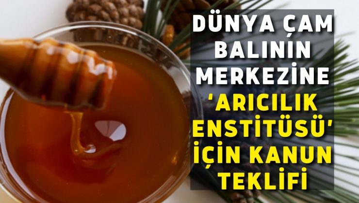 Dünya Çam balının merkezine ‘Arıcılık Enstitüsü’ için kanun teklifi