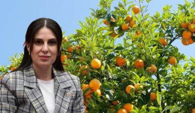 Özcan, narenciye üreticilerinin sorunlarını Meclis’e taşıdı
