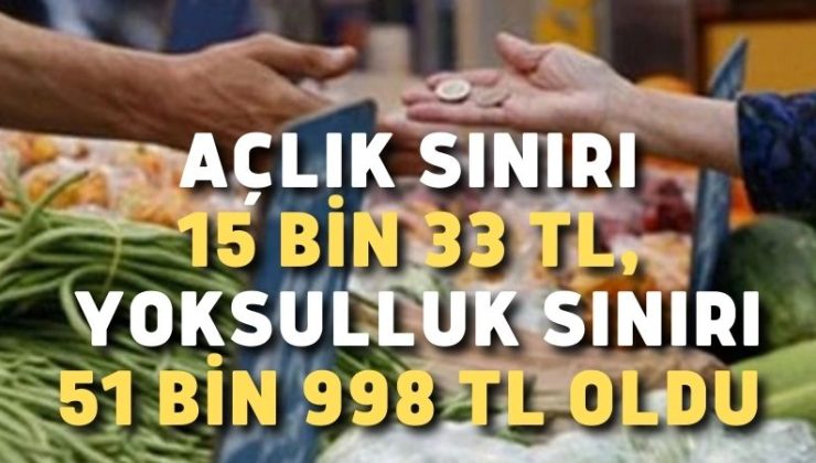 Açlık sınırı 15 bin 33 TL, yoksulluk sınırı 51 bin 998 TL oldu