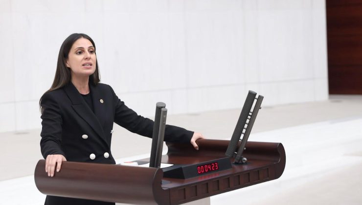 CHP Muğla Milletvekili Gizem Özcan’dan kanun teklifi