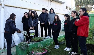 Ders ortasında fide ektiler