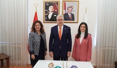 EÜ Hemşirelik Fakültesinden İnmeli Hastalara Özgü Sanat Temelli Aktiviteler Projesi