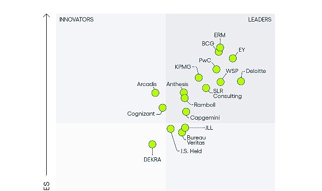 EY, ESG ve Sürdürülebilirlik Danışmanlığı alanında 2024 global pazar önderi oldu