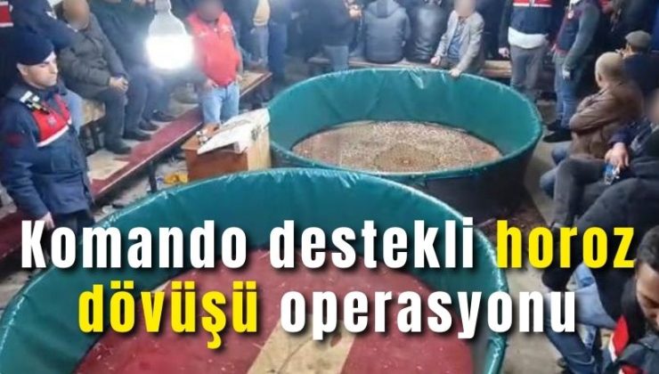 Komando destekli horoz dövüşü operasyonu