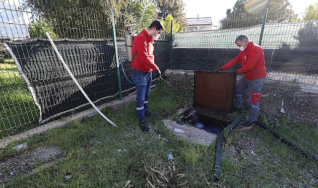 Menderes’te Larva Çabası