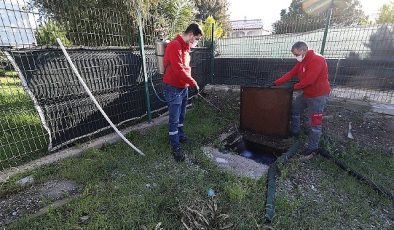 Menderes’te Larva Gayreti