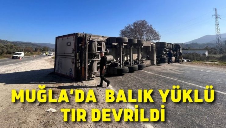 Muğla’da balık yüklü tır devrildi: 1 yaralı
