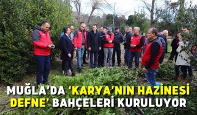 Muğla’da ‘Karya’nın Hazinesi Defne’ bahçeleri kuruluyor