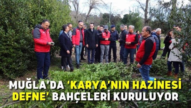 Muğla’da ‘Karya’nın Hazinesi Defne’ bahçeleri kuruluyor