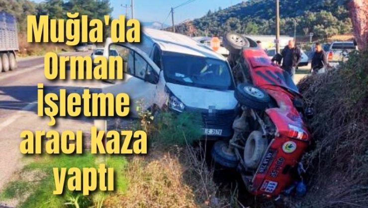 Muğla’da Orman İşletme aracı kaza yaptı