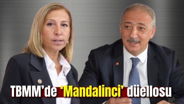 TBMM’de ‘Mandalinci’ düellosu; CHP’li Derici’den, AK Partili Mete’ye cevap verdi