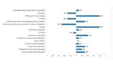 TÜİK: Fiyatlı çalışan sayısı yıllık %1,7 arttı
