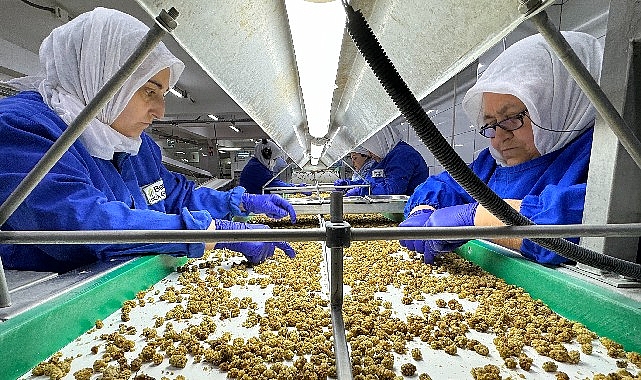 Türkiye organik eser ihracatında 1 milyar dolar hududunu aştı yeni ihracat maksadı 2 milyar dolar