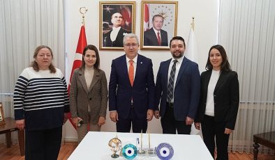 Zeytinyağı atıkları omurilik yaralanmalarında besin desteği olarak kullanılacak