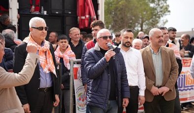 Kemalpaşa’da Boğa Güreşi Şenliği