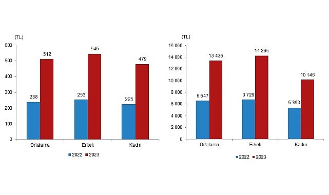 TÜİK: Mevsimlik tarım çalışanlarının ortalama günlük fiyatları 2023 yılında %114,6 arttı