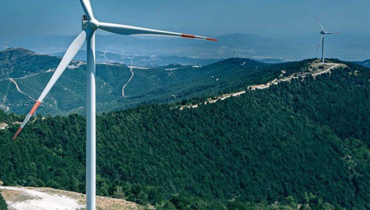 İddia: RES için 36 bin ağaç kesilecek