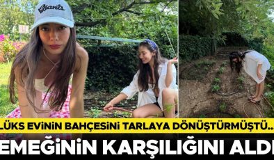 Lüks evinin bahçesini tarlaya dönüştürmüştü… Emeğinin karşılığını aldı