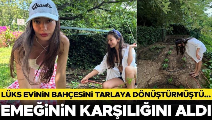 Lüks evinin bahçesini tarlaya dönüştürmüştü… Emeğinin karşılığını aldı