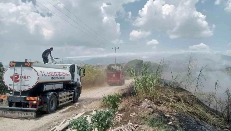 Efeler Belediyesi, Aydın’da çıkan yangına müdahale etti