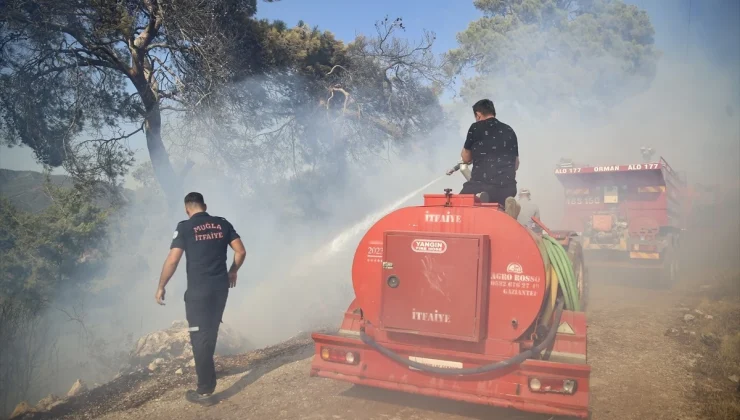 Fethiye’deki Zeytinlik Yangını Söndürüldü