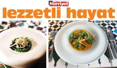 Hakiki Ege’yi tattırıyor