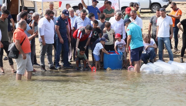Muğla’da 370 Bin Sazan Yavrusu Baraj ve Göletlere Salındı