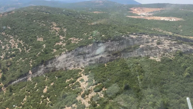 Muğla’da Ormanda Çıkan Yangın Kontrol Altına Alındı