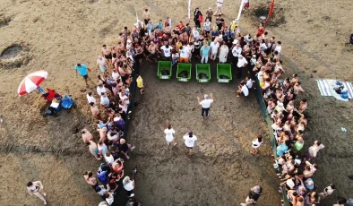 Muğla’da tedavileri tamamlanan caretta carettalar denizle buluştu
