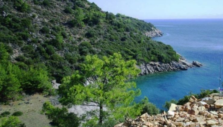 Bodrum’daki 5 yıldızlı otel projesine son tepki denizcilerden geldi