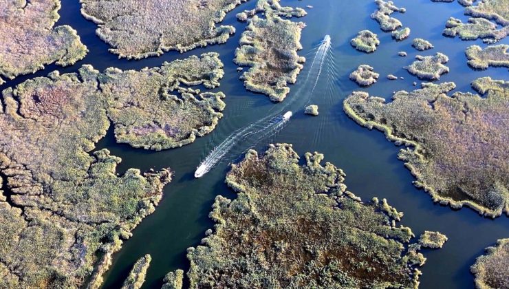 Dalyan Kanalı’nın labirent görünümlü sazlıkları havadan görüntülendi