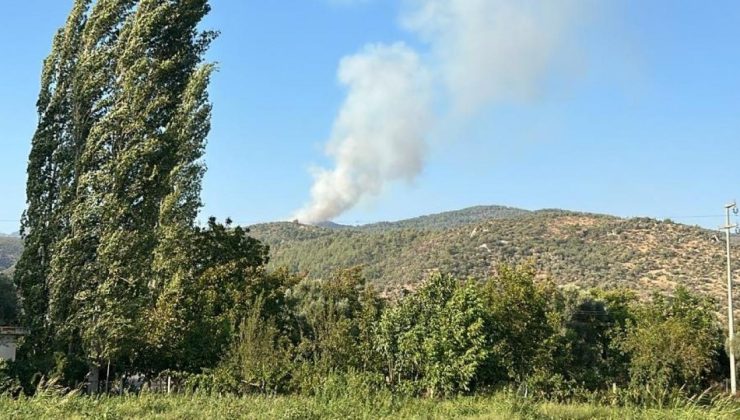 Muğla ve Bursa’da korkutan orman yangını