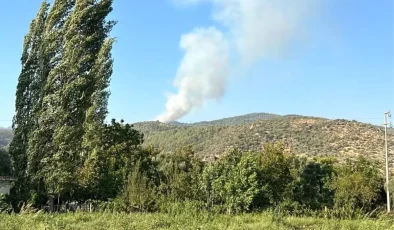 Muğla’da Ormanlık Alanda Yangın Çıktı
