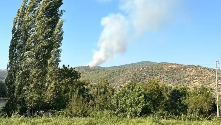 Muğla’da Ormanlık Alanda Yangın Çıktı