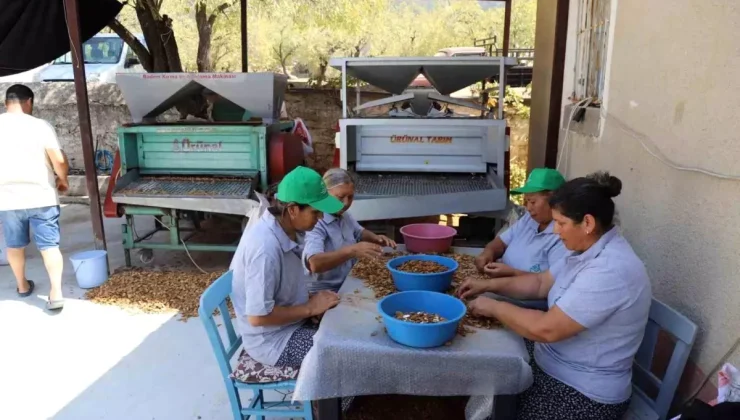 Muğla’da Tarım Kooperatifleri İşbirliği İçin Bir Araya Geldi
