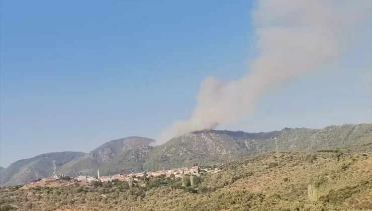 Muğla’nın Milas ilçesinde orman yangını çıktı