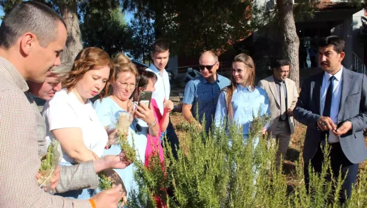 Köyceğiz’deki tarım bölümünün çalışmaları Tataristan’a örnek oldu