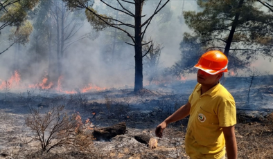 Muğla’da 1 hektar ormanlık alan küle döndü