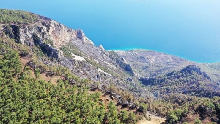 Muğla’da 849 hektar ormanlık alan kül oldu