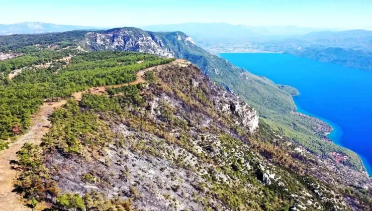 Muğla’da Çıkan Orman Yangını Kontrol Altına Alındı