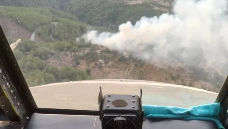 Muğla’nın Milas ilçesinde orman yangını hızlı müdahale ile söndürüldü