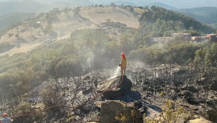 Nazilli’de Makilik Alanda Yangın Kontrol Altına Alındı