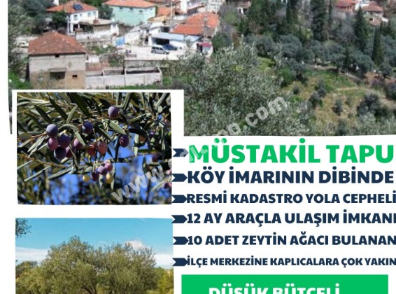 İzmir Bayındır’da Müstakil Tapulu Zeytin Ağaçlı Arsa: 402 m² Yatırım Fırsatı